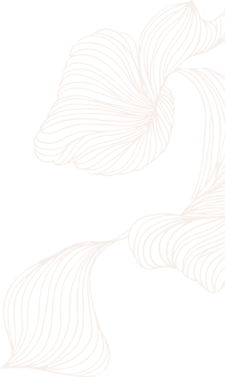 https://burnburn.com.tw/wp-content/uploads/2023/12/BG1.png