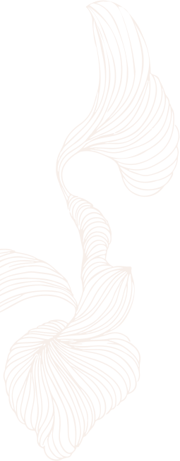 https://burnburn.com.tw/wp-content/uploads/2023/12/BG2.png